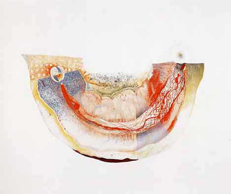 ���i�͂�Ԃ�j