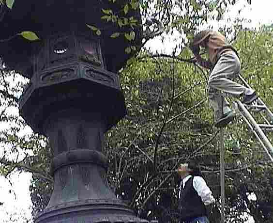 �u���U������������ƕ����摜�������܂��I