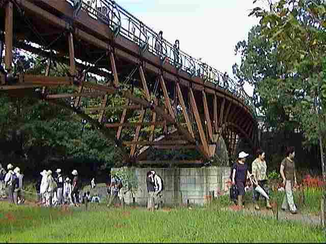 �����������i���{��̖ؐ��g���X�g���j