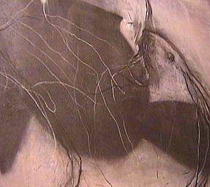 �u�Q�C�̂������ƂS�̒فv����