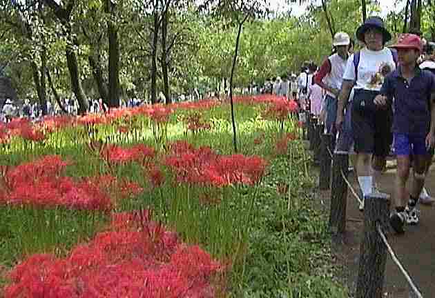 �����̐l�X�œ��키�U���H