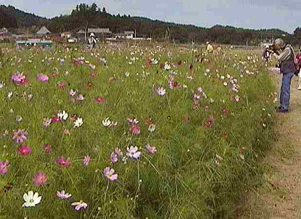 �R�X���X��