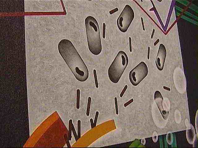 �u�}�_���V���b�v�v�޲�e�[��