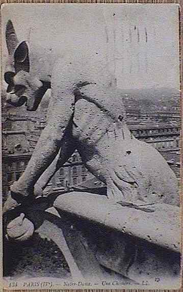 ��F�E��g�ϕ�����̗t��������