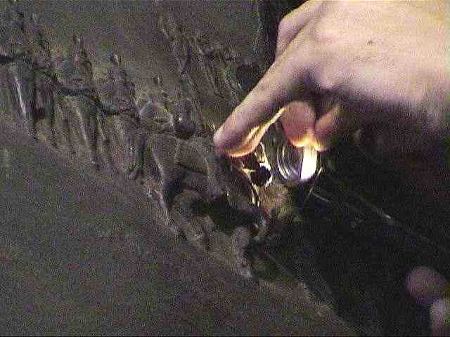 �����[�t�̍ו��ώ@�E�������i