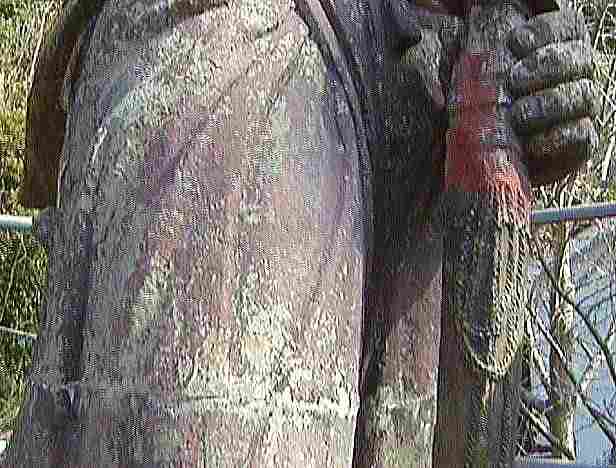 �u�g�c���A���v���ʁE�����`��ڕ��A�����ɂ�����