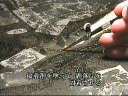 �ڒ��܂̓h�z