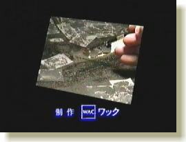 �ԑg�I���V�[��