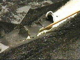 ���������Ђ̏������