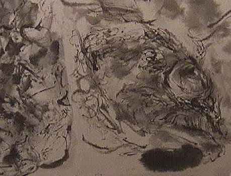 �u���B�̏���@���R�T�v ��ʕ���