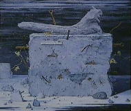 �R���q���E�Î�̎�