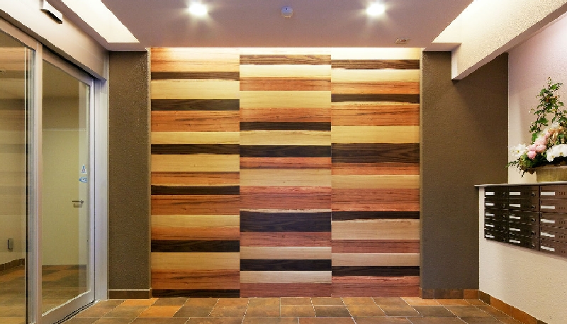 3042508.jpg
