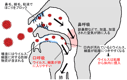 鼻呼吸、口呼吸