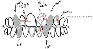 グルルズ記入例