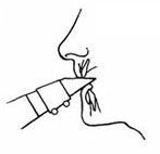 シングルリード楽器