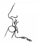 フルート、ピッコロ