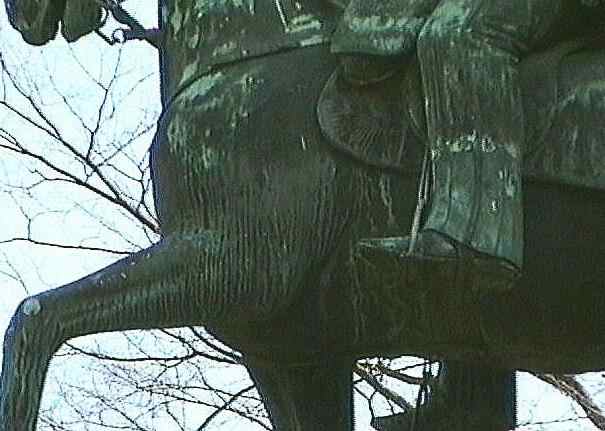 �u�L����{���m�e������g��ʐ^�i�����g�j