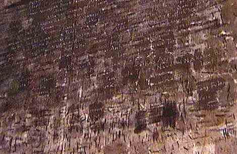 �u�t�m�s�h�s�k�d�c�v����