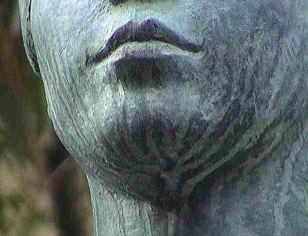 �u��̑��v�{�����̐�����