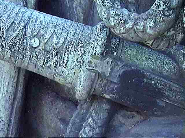 �u�呺�v���Y���v���̕����̌����Ȓ���