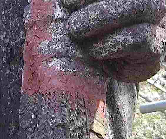 ���A���E����