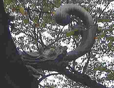 ���U��������