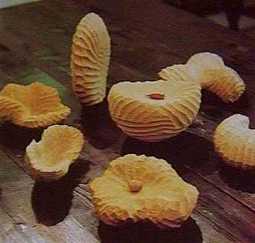 ����������i�@���̂��̂�������