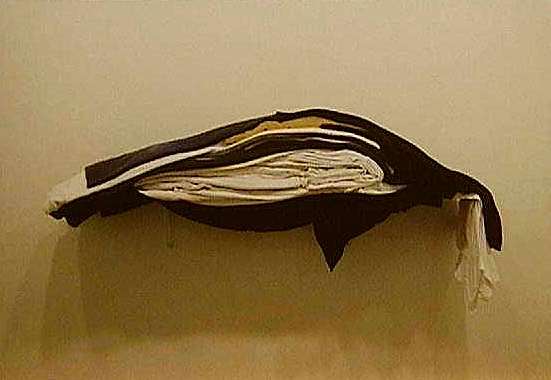 �؁Esuji�Fstripes