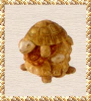 Shell Game