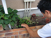 IMG_0745s_thumb.png