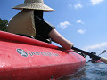 17_thumb.jpg