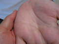 43_thumb.jpg