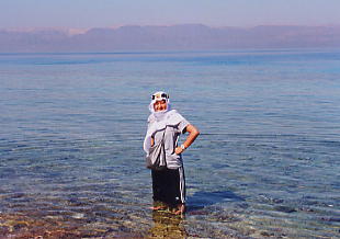 �ق����ނ肶��Ȃ��́B�R�t�B�[����