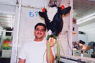 �����Ɩ��